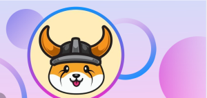 معرفی ارز فلوکی اینو (Floki Inu) و آموزش خرید