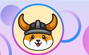 معرفی ارز فلوکی اینو (Floki Inu) و آموزش خرید