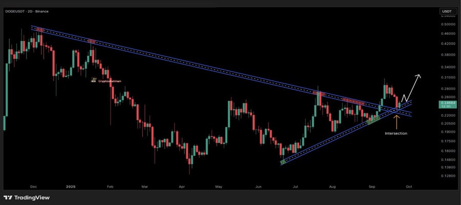 ۲ میلیارد DOGE در ۲ روز! الگوی صعودی تاریخی دوجکوین دوباره تکرار میشود؟ doge-bought-by-whales-in-2-days-whats-coming-next-