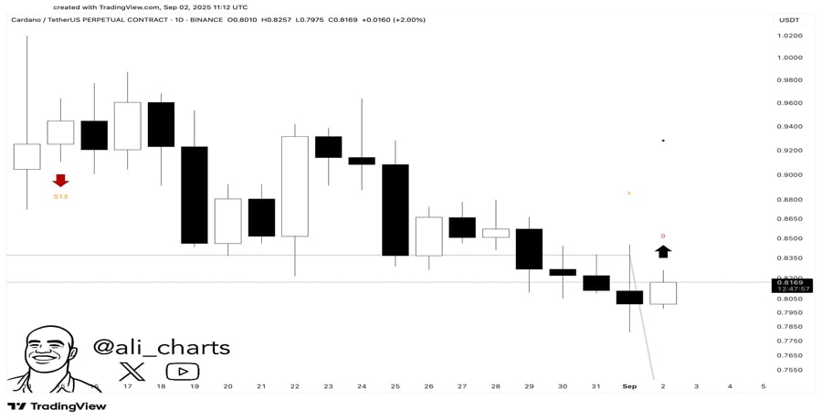 چرا احساسات نزولی معاملهگران خرد میتواند سیگنالی صعودی برای کاردانو باشد؟ cardanos-ada-retail-traders-turn-bearish-but-whales-may-smell-a-bargain-1