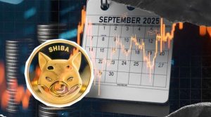 پیش‌بینی عملکرد شیبا در سپتامبر و ماه‌های پیش‌ رو؛ SHIB آماده درخشش دوباره؟