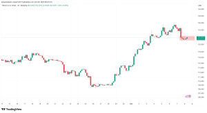 Bitcoin has room for growth: Why analysts say $300K is still in play