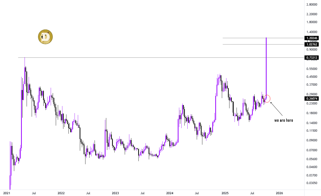 DOGE price gained 445% the last time this indicator flashed green