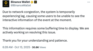 Binance Wallet, Trust Wallet display issues linger after crypto crash