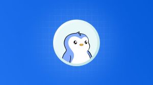 پاجی پنگوئنز به نقطه انفجار نزدیک شده؛ زمان خرید PENGU است یا فروش آن؟