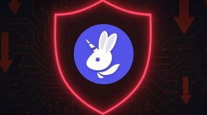بعد از کادنا، صرافی Bunni نیز تعطیل شد! چه اتفاقی در بازار افتاده؟