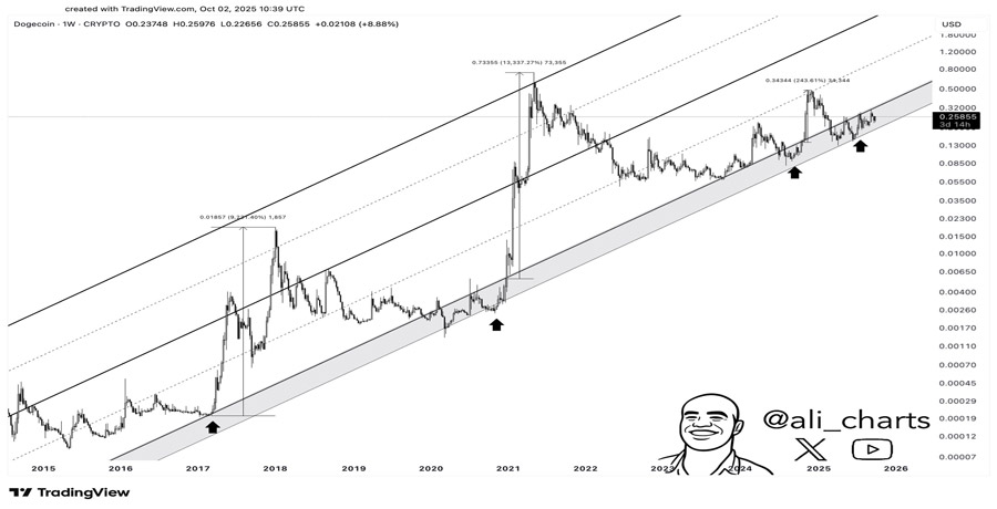 dogecoins-big-breakout-incoming-analyst-stay-alert