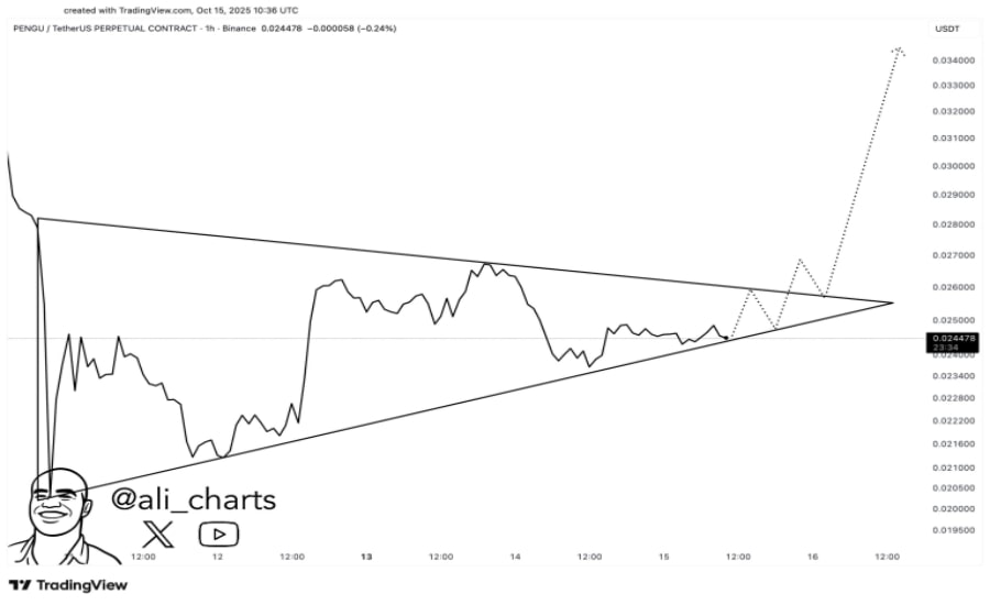 پاجی پنگوئنز به نقطه انفجار نزدیک شده؛ زمان خرید PENGU است یا فروش آن؟