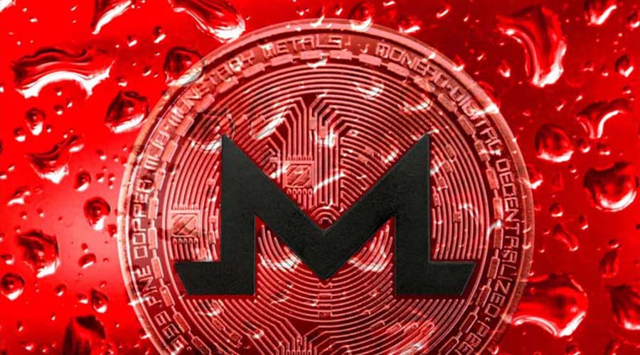 رشد این توکن حریم خصوصی در بازار نزولی فعلی!