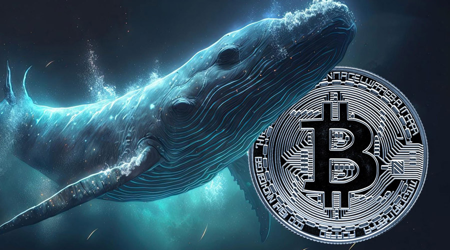 bitcoin-price-crash-ahead-satoshi-era-whale-dumps-12000-btc-r