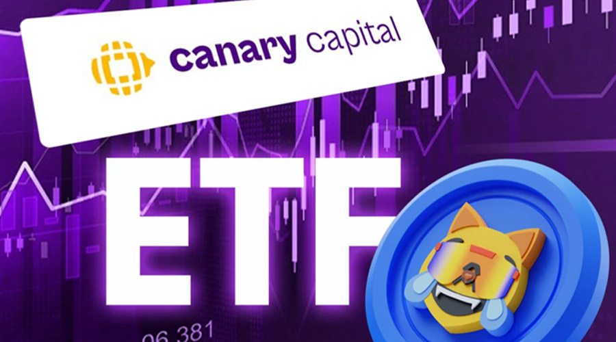 بازار میم‌کوین‌ها در هیجان؛ کنری کپیتال برای ETF ماگ‌کوین هم درخواست داد!