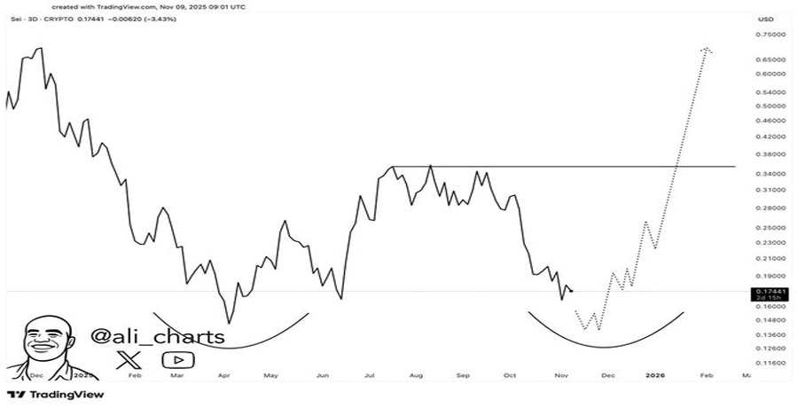 از حمایت بایننس تا الگوی کف دوقلو؛ تحلیلگران از جهش ۳۰۰ درصدی SEI خبر میدهند! sei-price-prediction-2025-is-sei-crypto-ready-for-a-double-bottom-400-reversal-