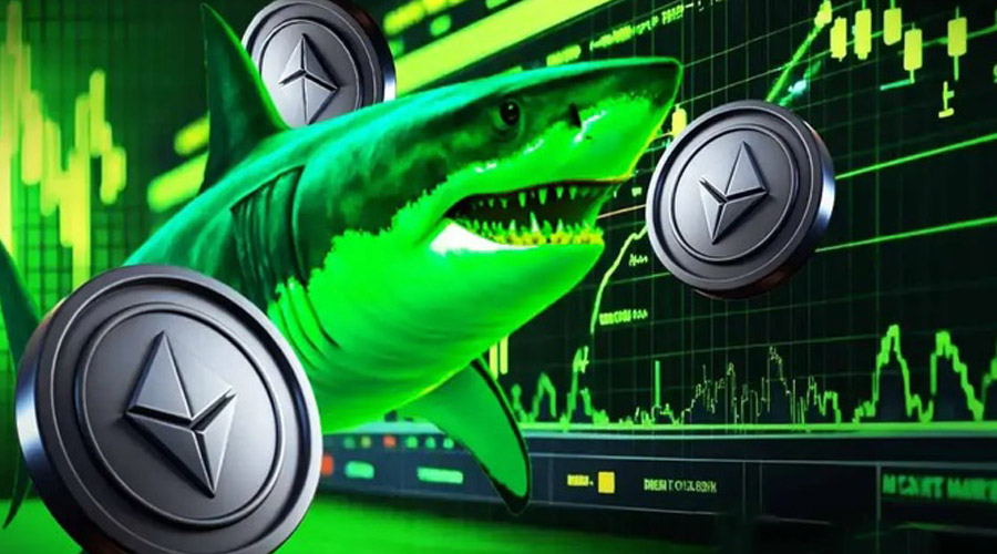 shark-wallets-drive-ethereum-to-3-week-high-after-fusaka-deployment-