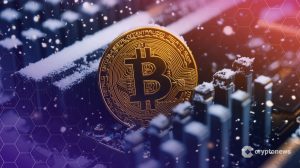 هش ریت بیت کوین ۱۲٪ کاهش یافت